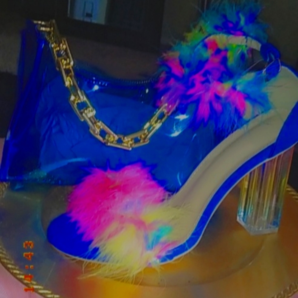Size 9 rainbow feather lucite heels and purse